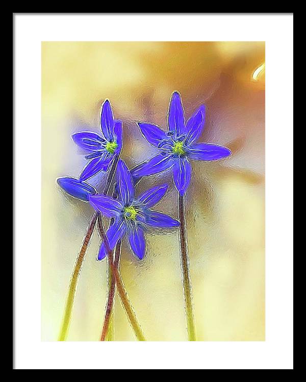 April Flowers - Framed Print