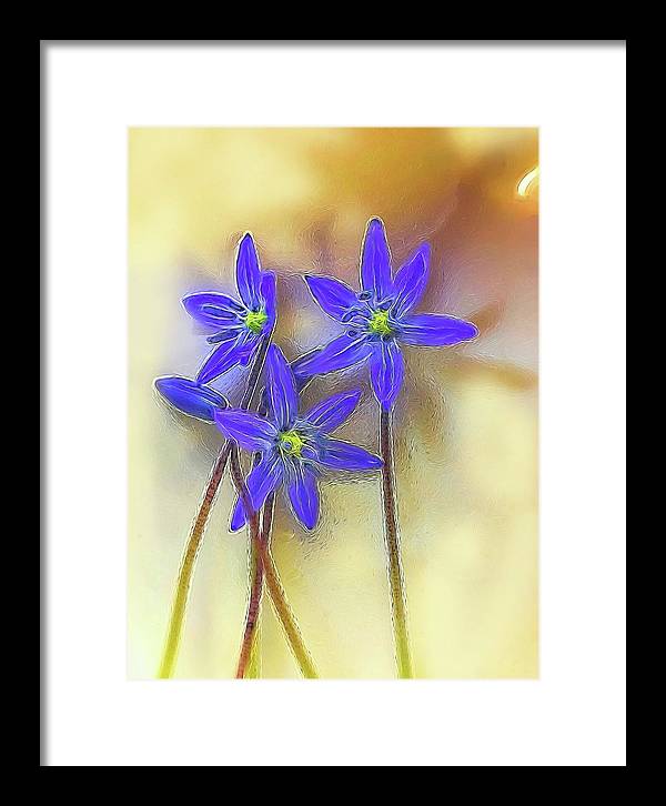 April Flowers - Framed Print
