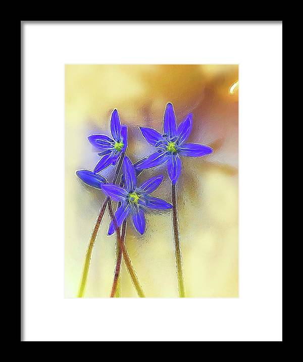 April Flowers - Framed Print