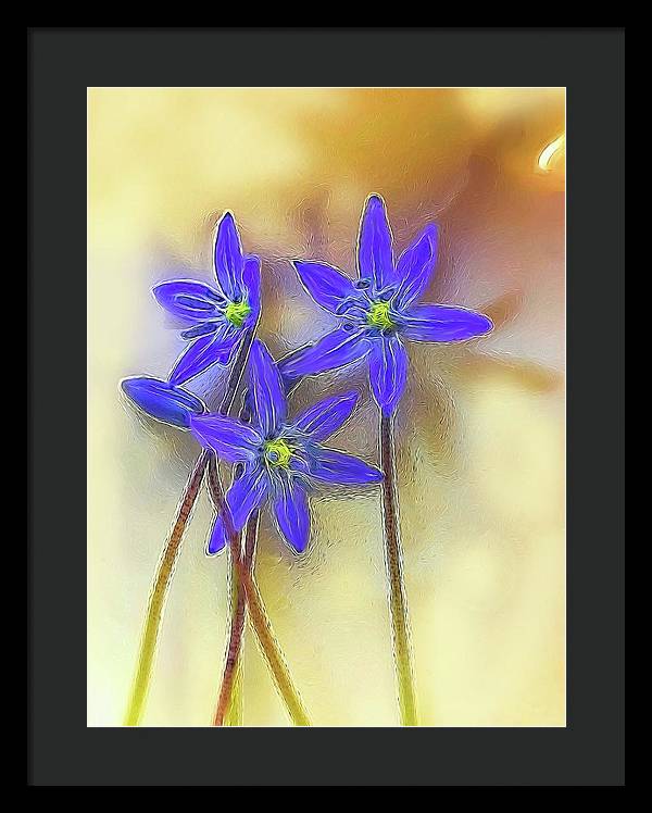 April Flowers - Framed Print