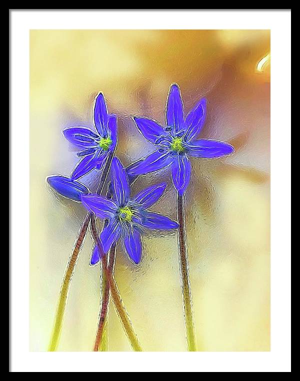 April Flowers - Framed Print