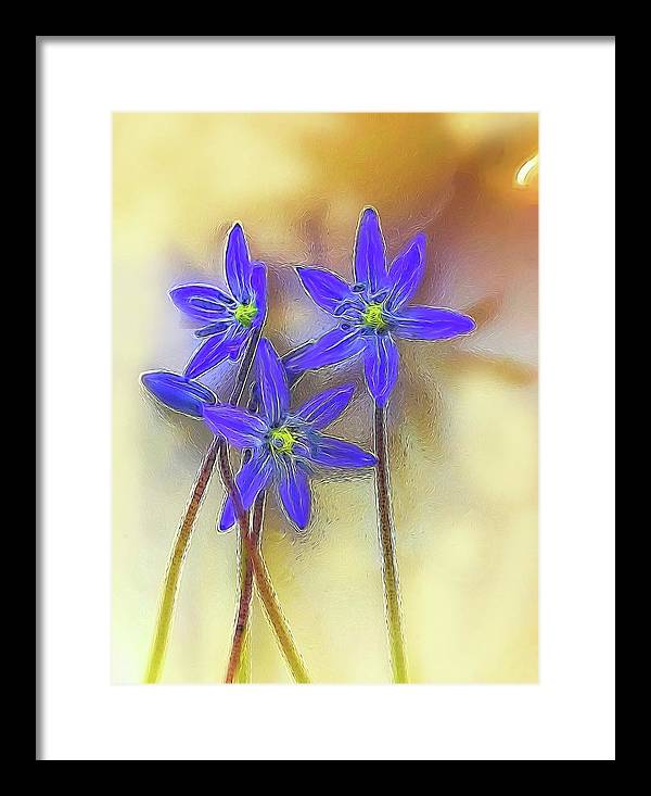 April Flowers - Framed Print