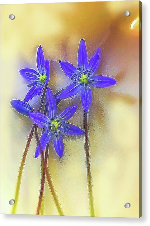 April Flowers - Acrylic Print
