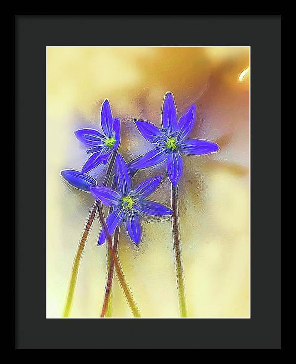 April Flowers - Framed Print