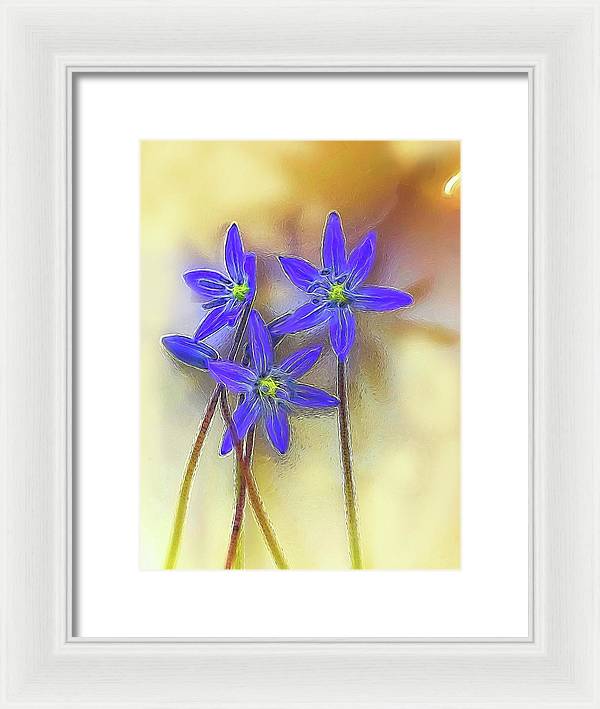 April Flowers - Framed Print