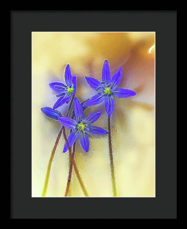 April Flowers - Framed Print
