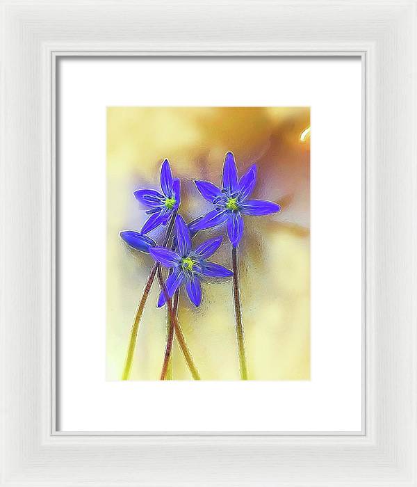 April Flowers - Framed Print