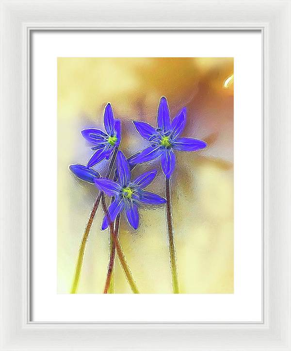 April Flowers - Framed Print