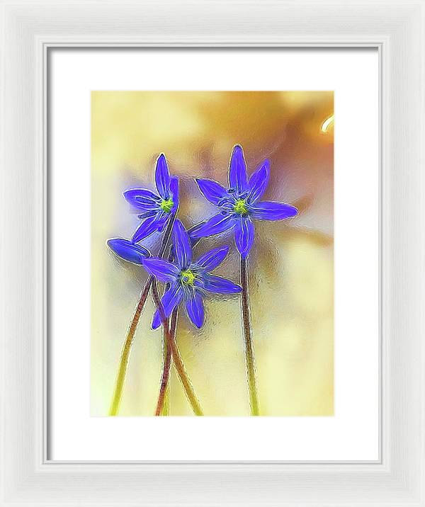 April Flowers - Framed Print
