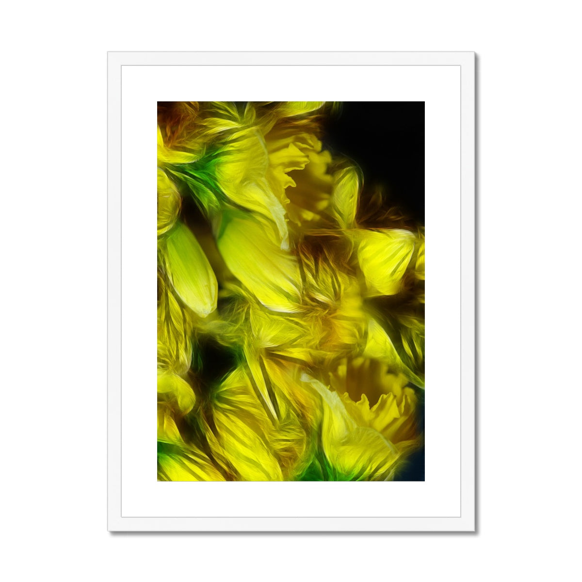 Abstract Yellow Daffodils Framed & Mounted Print