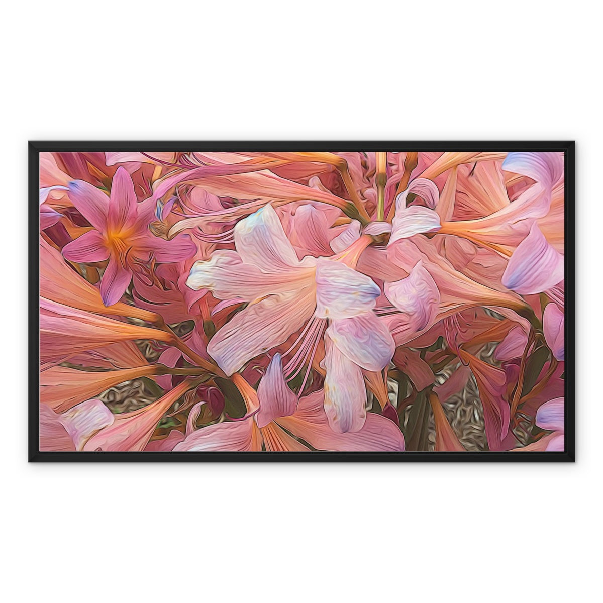 Pink Amaryllis Framed Canvas