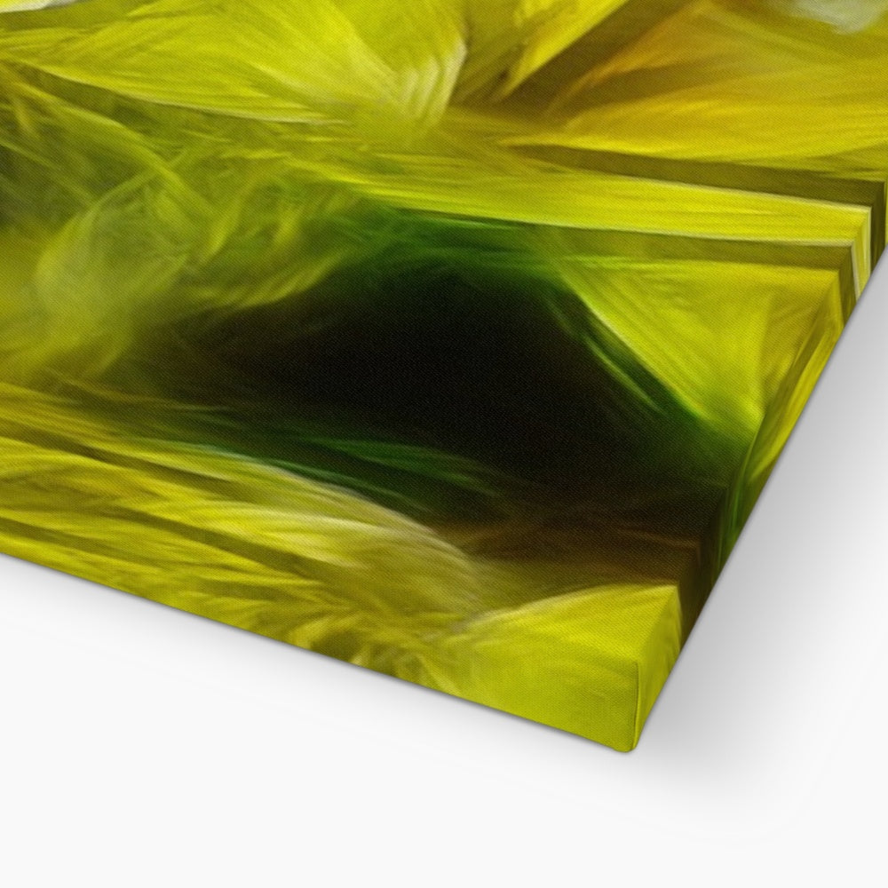 Abstract Yellow Daffodils Canvas