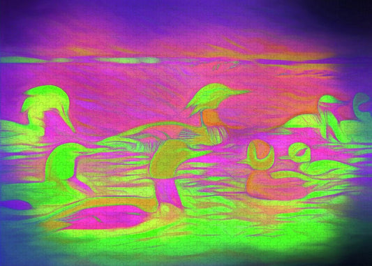 Birds Ducks - Puzzle