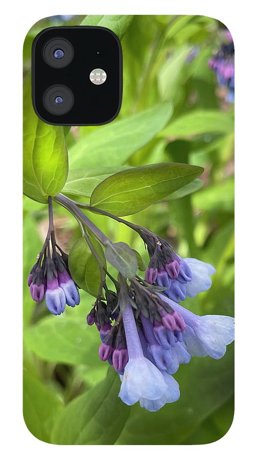 Blue and Purple April Wildflowers - Phone Case