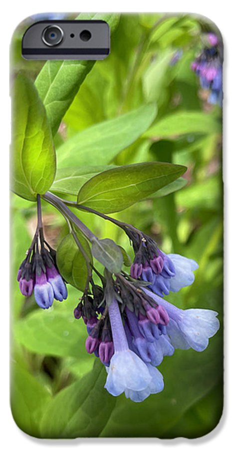 Blue and Purple April Wildflowers - Phone Case