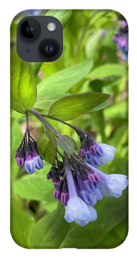 Blue and Purple April Wildflowers - Phone Case