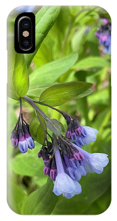 Blue and Purple April Wildflowers - Phone Case