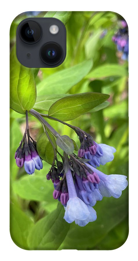Blue and Purple April Wildflowers - Phone Case