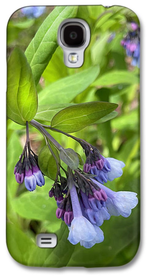 Blue and Purple April Wildflowers - Phone Case
