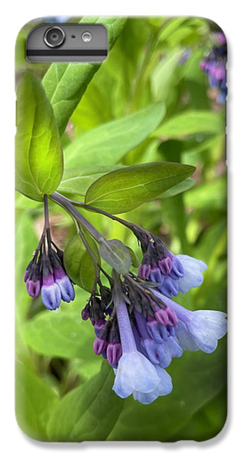 Blue and Purple April Wildflowers - Phone Case
