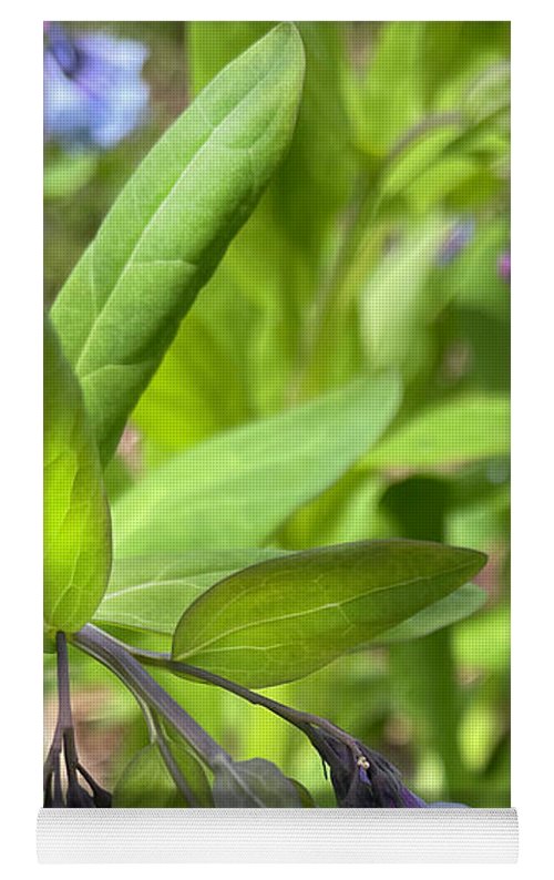 Blue and Purple April Wildflowers - Yoga Mat