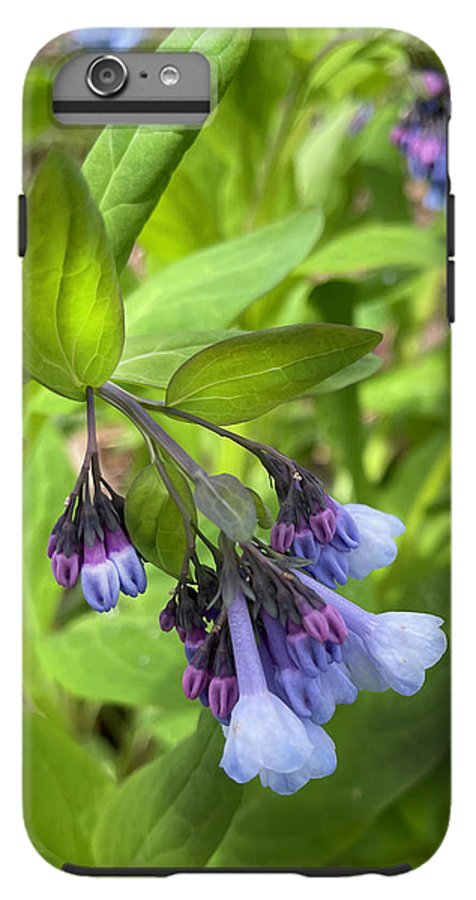 Blue and Purple April Wildflowers - Phone Case