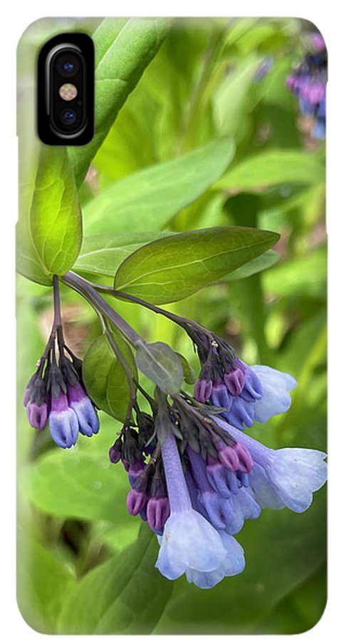 Blue and Purple April Wildflowers - Phone Case