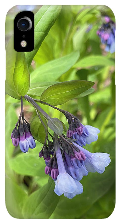 Blue and Purple April Wildflowers - Phone Case