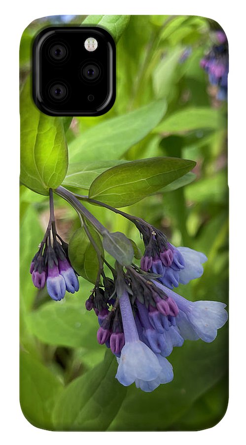 Blue and Purple April Wildflowers - Phone Case