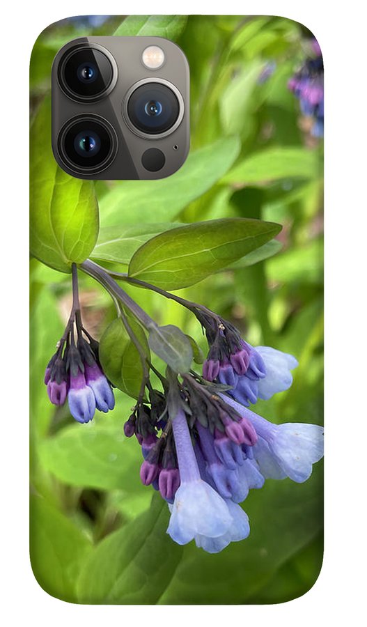 Blue and Purple April Wildflowers - Phone Case