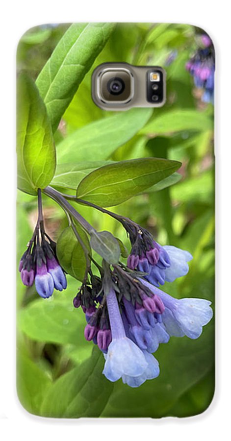 Blue and Purple April Wildflowers - Phone Case