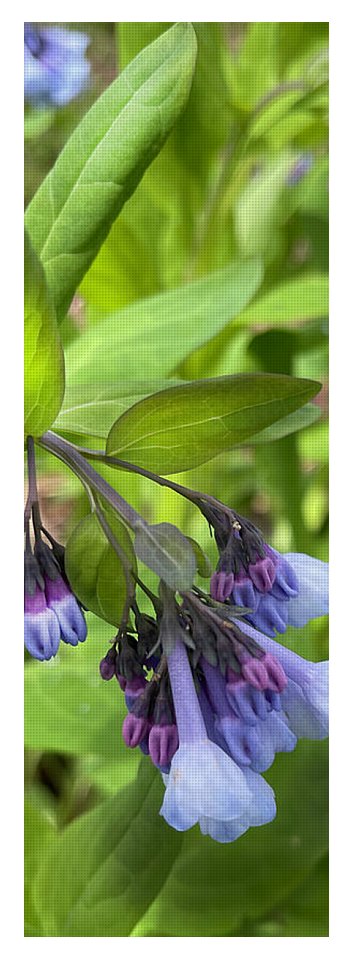 Blue and Purple April Wildflowers - Yoga Mat