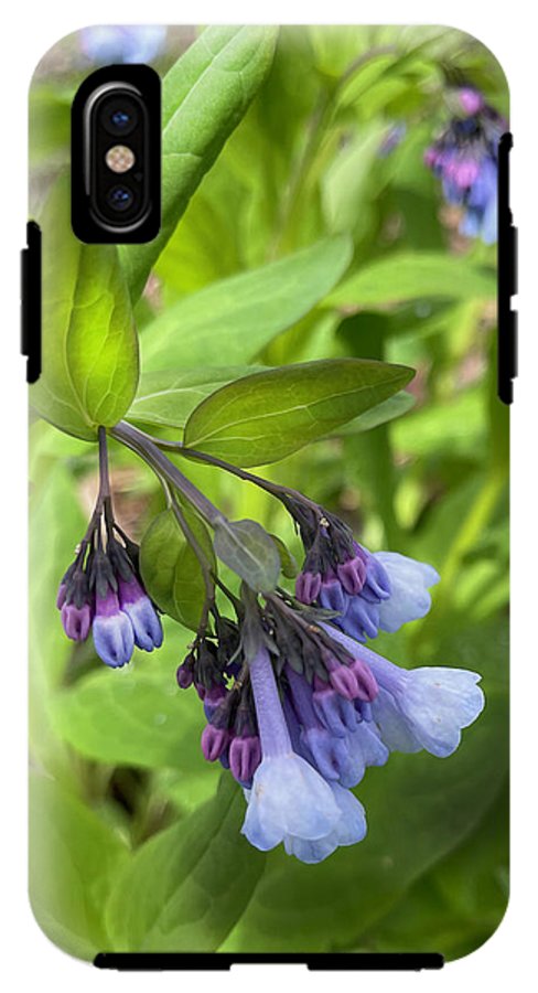 Blue and Purple April Wildflowers - Phone Case