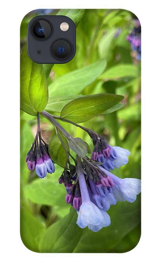 Blue and Purple April Wildflowers - Phone Case