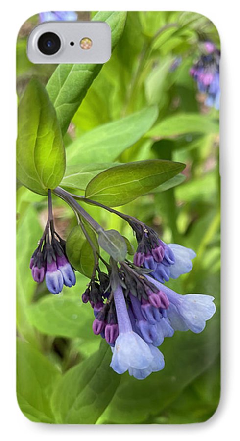 Blue and Purple April Wildflowers - Phone Case