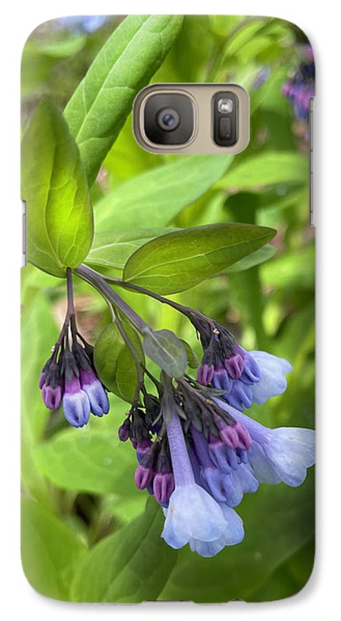 Blue and Purple April Wildflowers - Phone Case