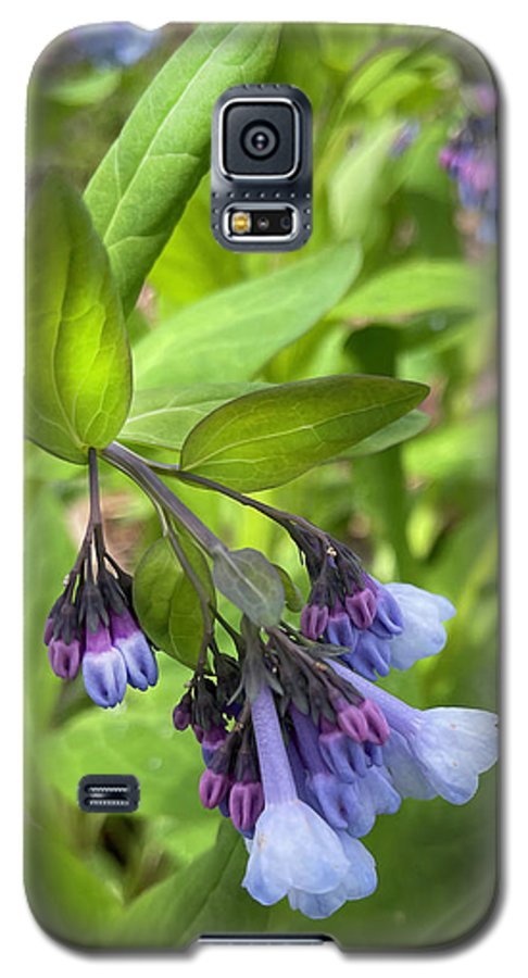 Blue and Purple April Wildflowers - Phone Case