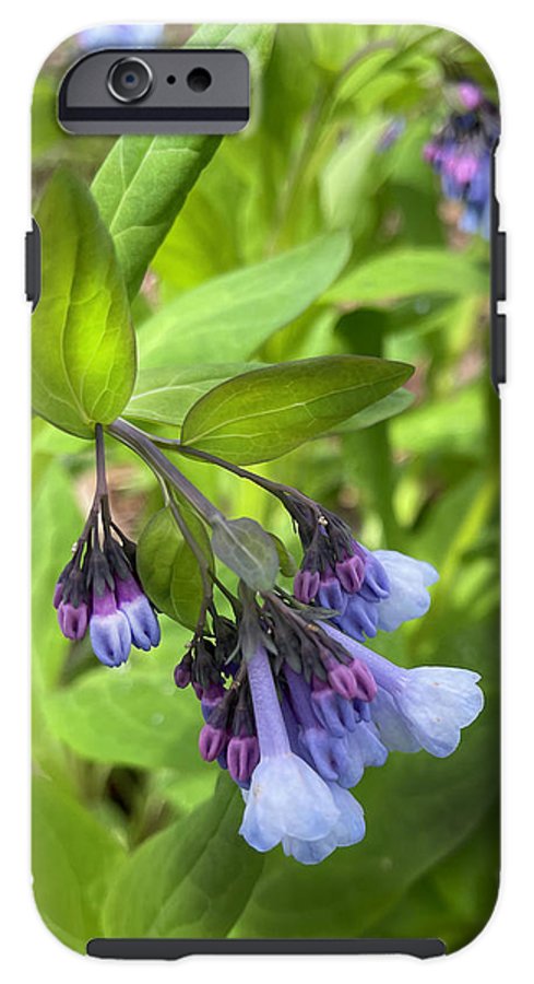 Blue and Purple April Wildflowers - Phone Case