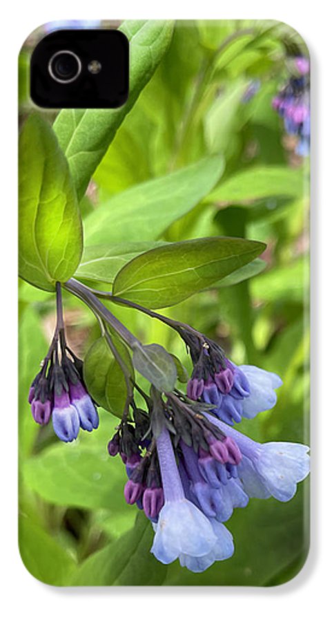 Blue and Purple April Wildflowers - Phone Case