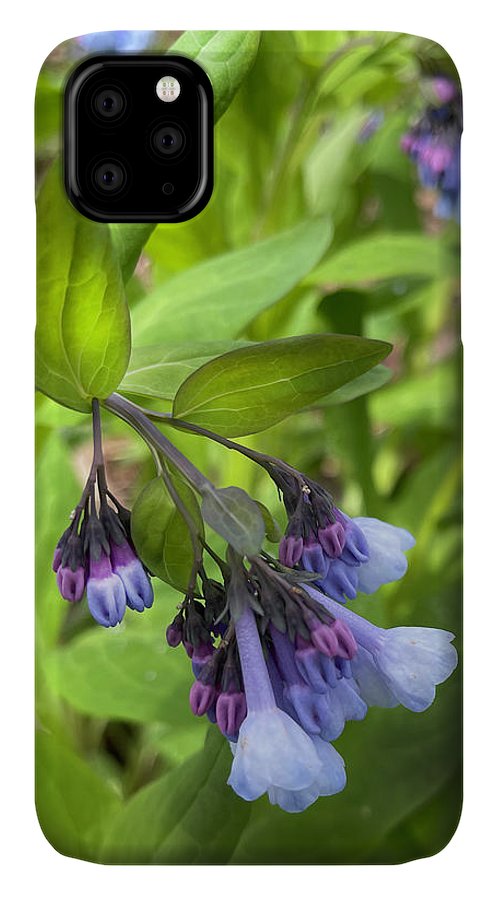Blue and Purple April Wildflowers - Phone Case