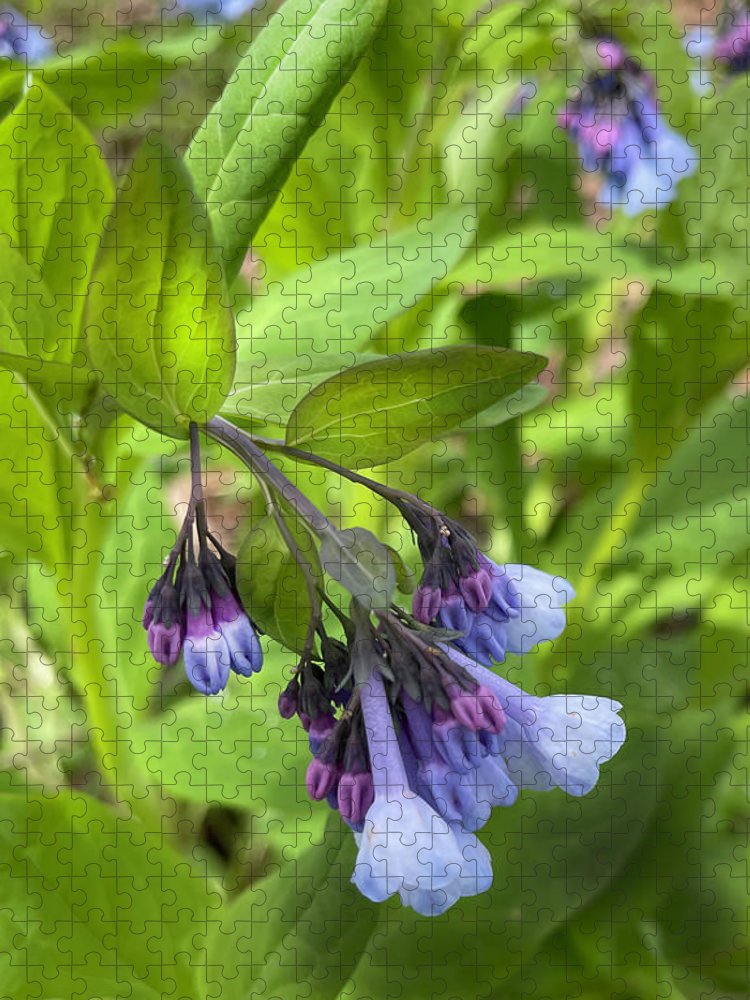 Blue and Purple April Wildflowers - Puzzle