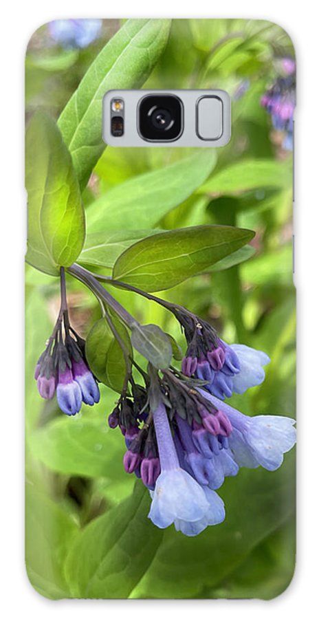 Blue and Purple April Wildflowers - Phone Case