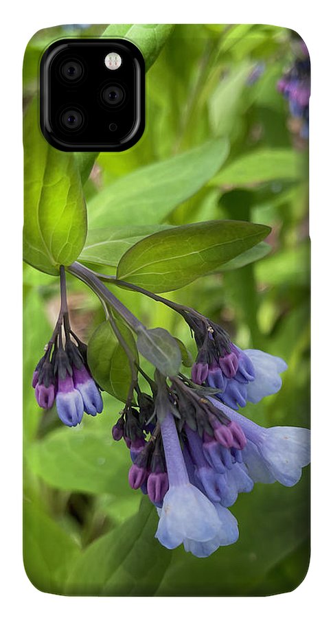 Blue and Purple April Wildflowers - Phone Case