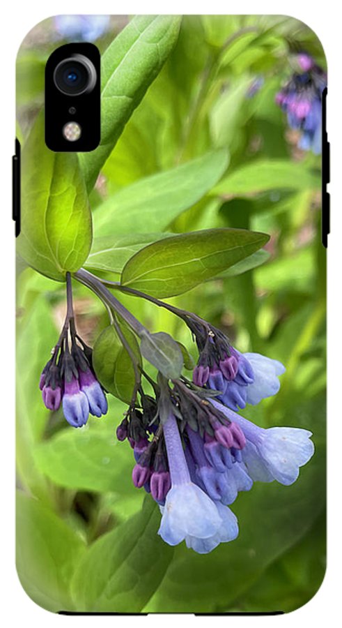 Blue and Purple April Wildflowers - Phone Case