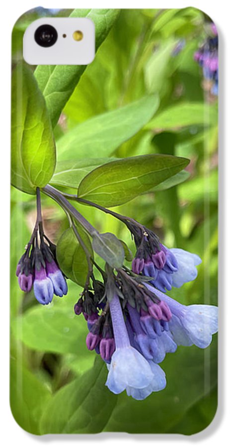 Blue and Purple April Wildflowers - Phone Case