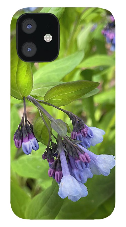 Blue and Purple April Wildflowers - Phone Case