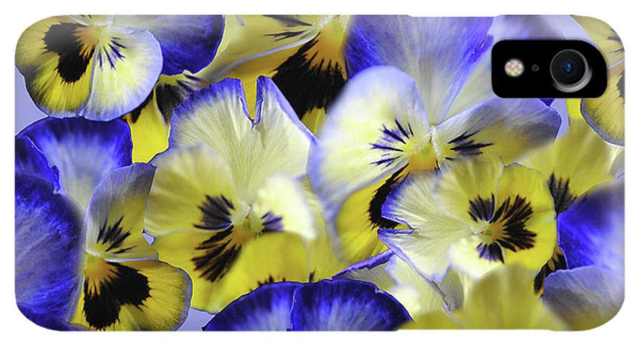 Blue and Yellow Pansies Collage - Phone Case