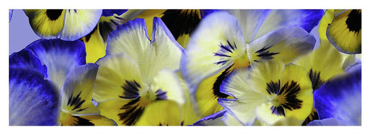 Blue and Yellow Pansies Collage - Yoga Mat