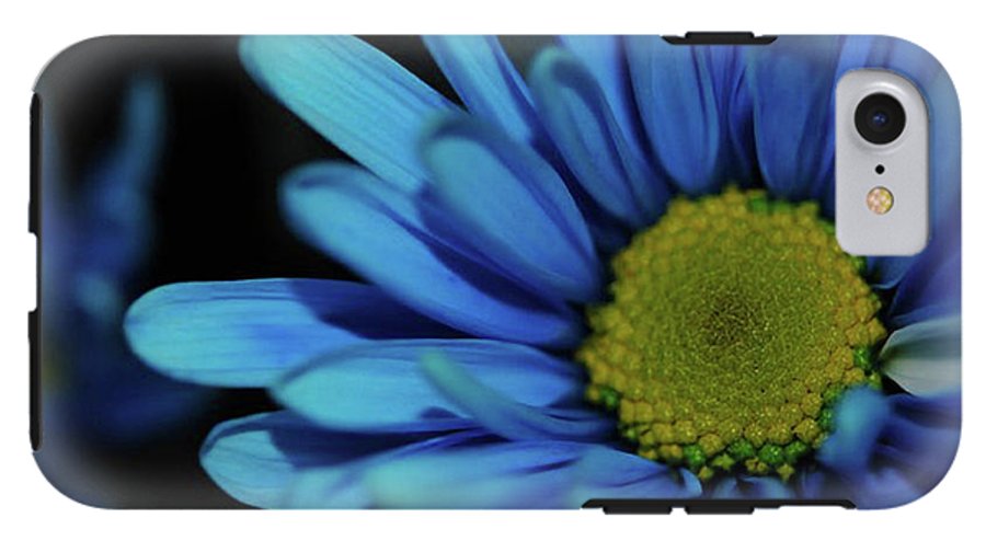Blue Daisy - Phone Case