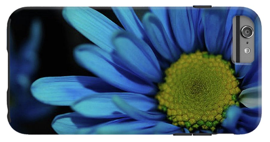 Blue Daisy - Phone Case